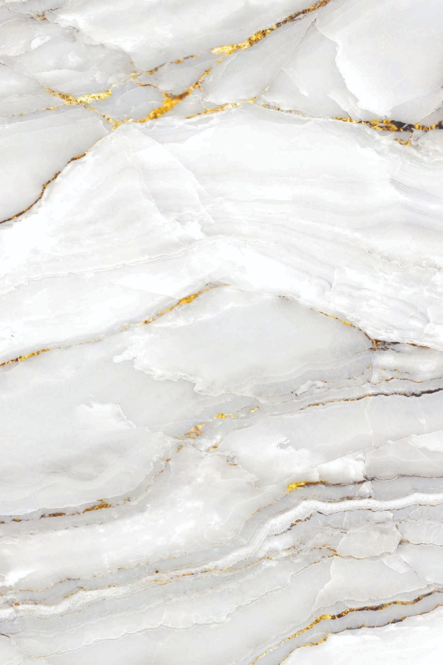 panel scienny nr1.jpg